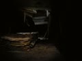 動画:the HAUNTING in C