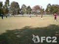 動画:20111113_3